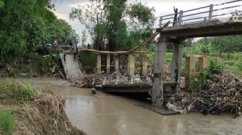 Gotong Royong Bangun Jembatan Ambruk Jatipandah Lamongan