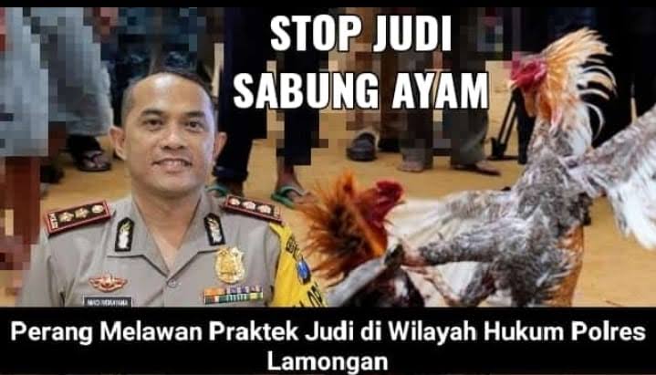 Bongkar Judi Sabung Ayam Di Kedungpring, Wartawan Jadi Korban
